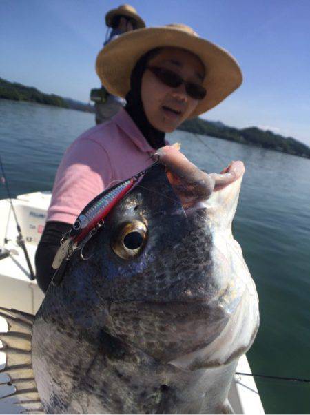 「LaGooN」蒼陽丸 日和号　 釣果