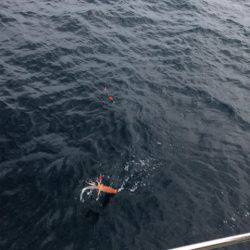 末広丸(熊本) 釣果