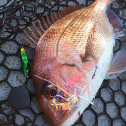 第二 海洋丸 釣果