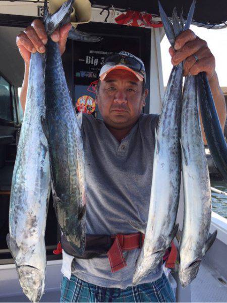 ビッグファイター 釣果