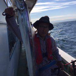 ヤザワ渡船 釣果