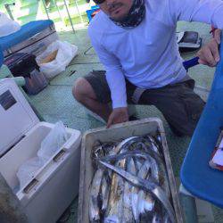 ヤザワ渡船 釣果