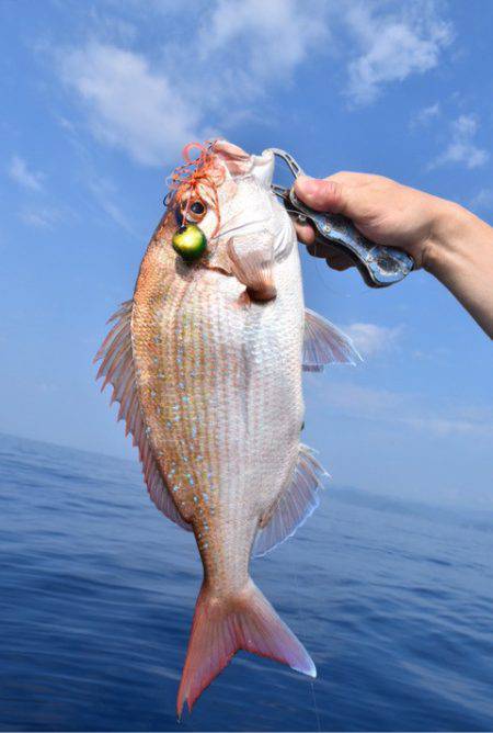 渡船屋たにぐち 釣果