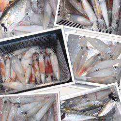 渡船屋たにぐち 釣果