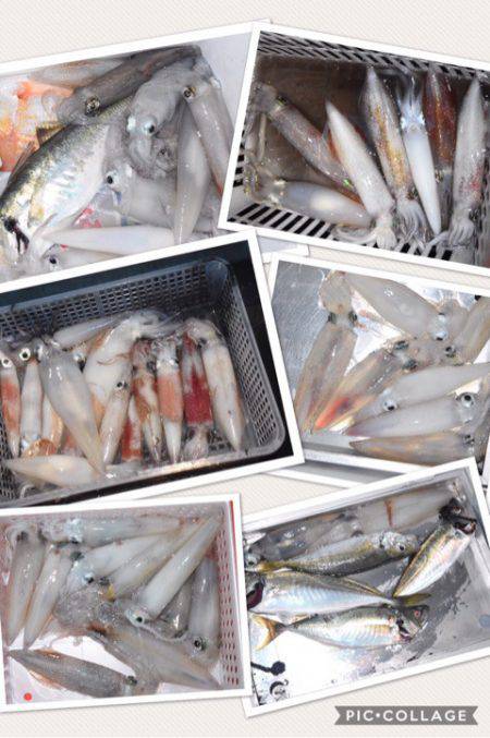 渡船屋たにぐち 釣果