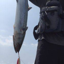 「LaGooN」蒼陽丸 日和号 釣果