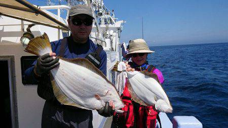 小樽港遊漁船ＳＨＡＫＥ 釣果