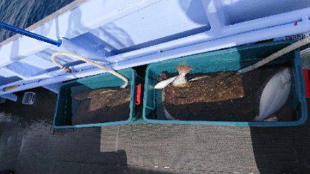 小樽港遊漁船ＳＨＡＫＥ 釣果