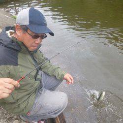 平谷湖フィッシングスポット 釣果