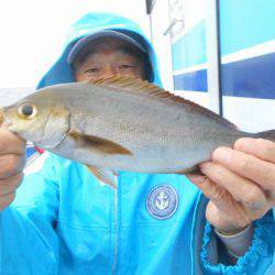 佐衛美丸 釣果
