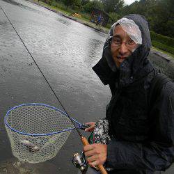 平谷湖フィッシングスポット 釣果