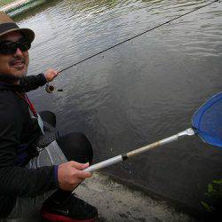 平谷湖フィッシングスポット 釣果