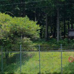 平谷湖フィッシングスポット 釣果