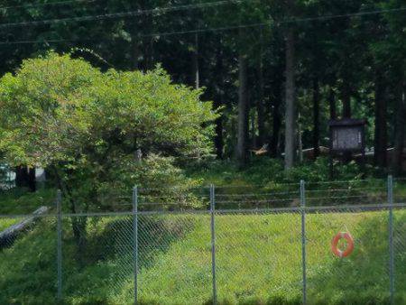 平谷湖フィッシングスポット 釣果