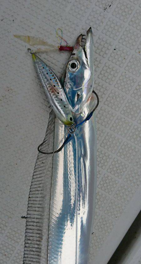 遊漁船　家入 釣果