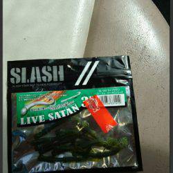 ARCADIAⅡ （アルカディアⅡ） 釣果