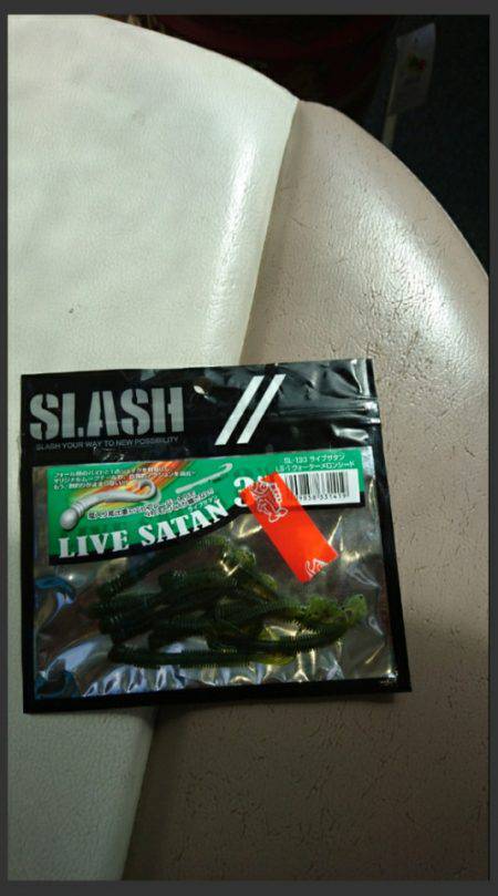 ARCADIAⅡ （アルカディアⅡ） 釣果