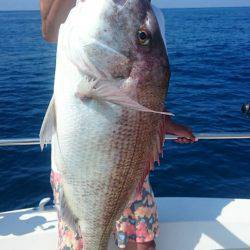 ARCADIAⅡ （アルカディアⅡ） 釣果