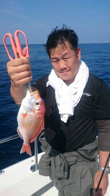 ARCADIAⅡ （アルカディアⅡ） 釣果