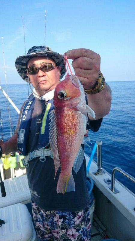 ARCADIAⅡ （アルカディアⅡ） 釣果