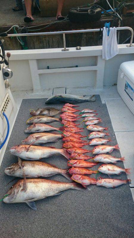 ARCADIAⅡ （アルカディアⅡ） 釣果