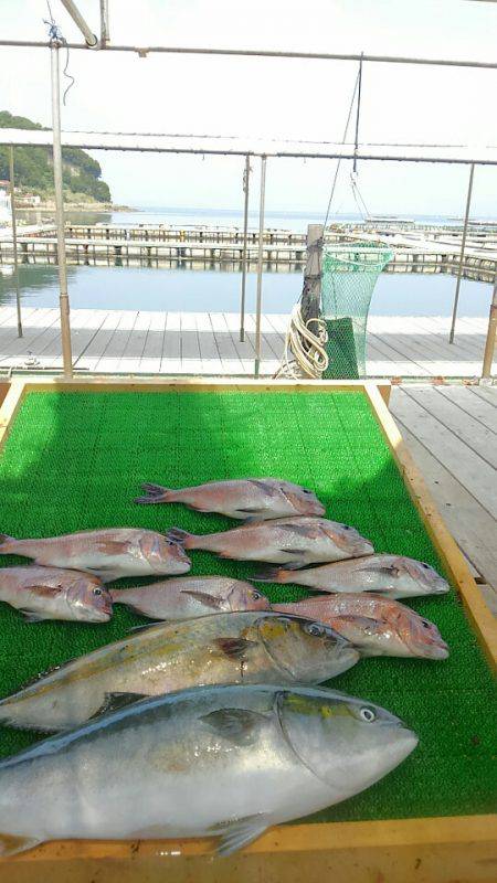 海の釣堀 海恵 釣果