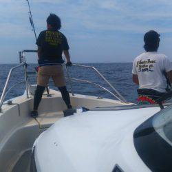 ブルドック 釣果