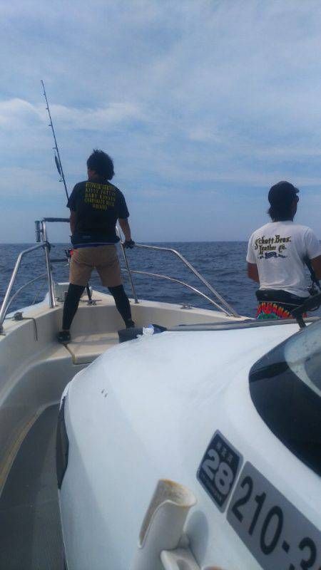 ブルドック 釣果