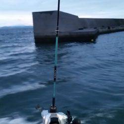 金沢八景鴨下丸 釣果