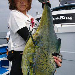 第三共栄丸 釣果