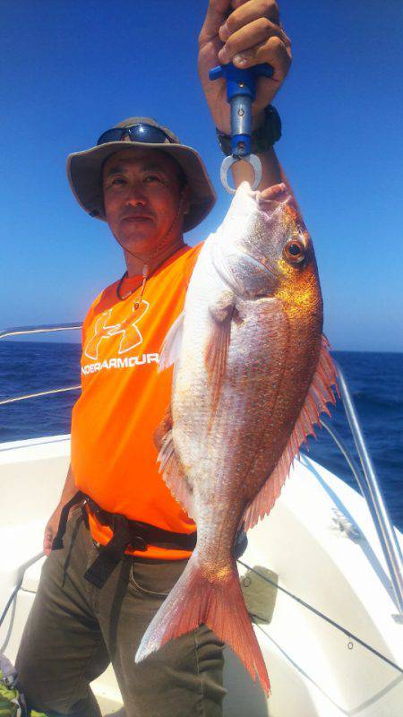 ブルドック 釣果