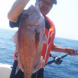 ブルドック 釣果