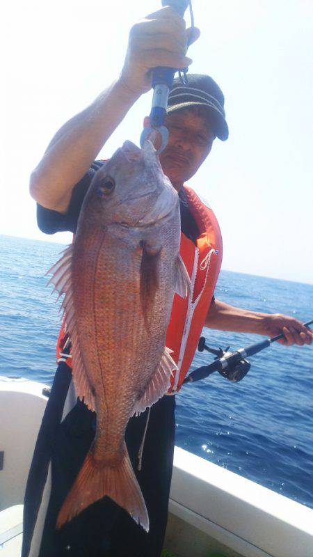 ブルドック 釣果