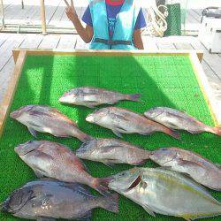 海の釣堀 海恵 釣果
