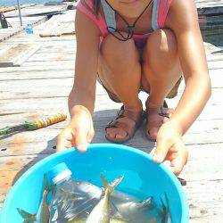 海の釣堀 海恵 釣果