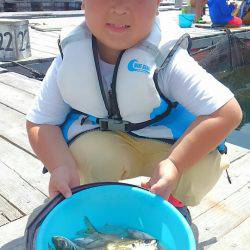 海の釣堀 海恵 釣果