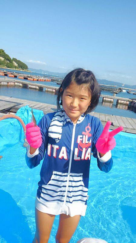 海の釣堀 海恵 釣果