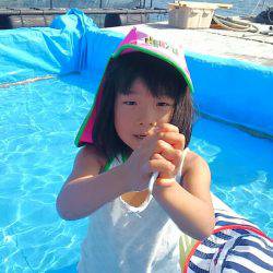 海の釣堀 海恵 釣果