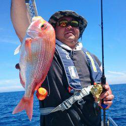 ARCADIAⅡ (アルカディアⅡ) 釣果