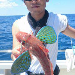 ARCADIAⅡ (アルカディアⅡ) 釣果