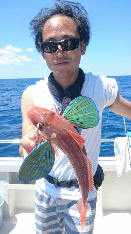 ARCADIAⅡ (アルカディアⅡ) 釣果