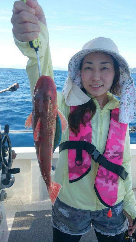 ARCADIAⅡ (アルカディアⅡ) 釣果