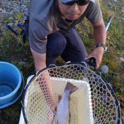 つりぼりあかし 釣果