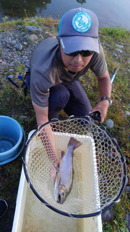 つりぼりあかし 釣果