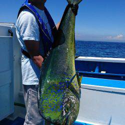 第三共栄丸 釣果