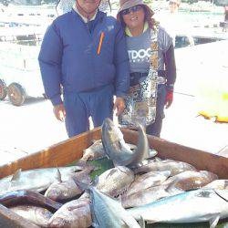 海の釣堀 海恵 釣果
