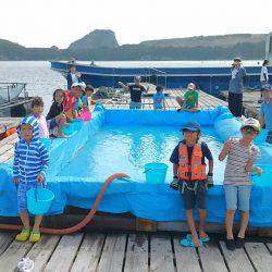 海の釣堀 海恵 釣果