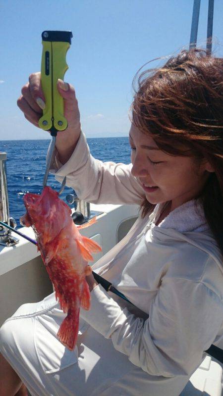 ARCADIAⅡ (アルカディアⅡ) 釣果