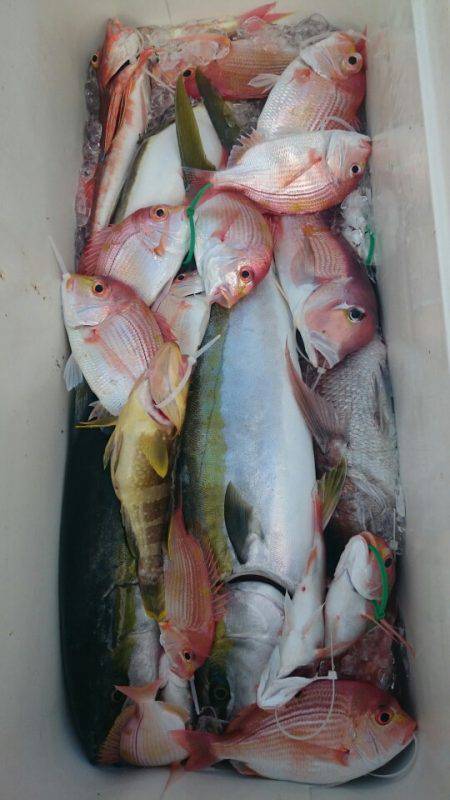 ARCADIAⅡ (アルカディアⅡ) 釣果