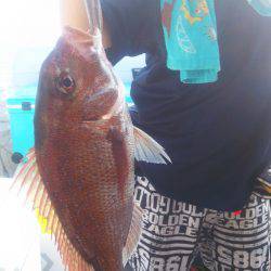 ブルドック 釣果